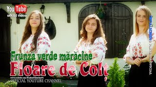 FLOARE de COLT . Frunza verde maracine (oficial video) chords