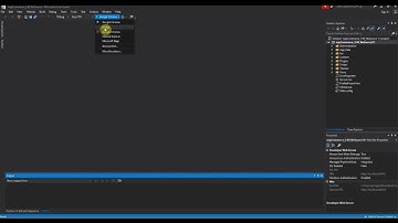 How to download install and run Nop Commerce 3.9 on local PC