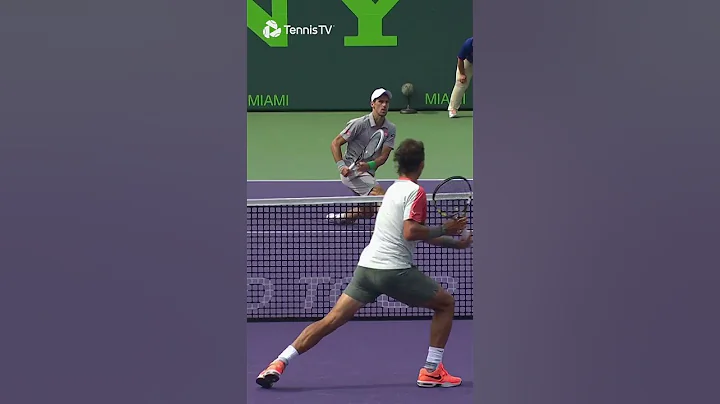 Novak Djokovic & Rafael Nadal Play INCREDIBLE Point 🤯 - 天天要闻