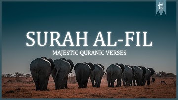 Surat Al-Fil (The Elephant) |سورة الفيل