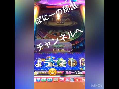 「カラコロッタ」勝負は一瞬、、、⁉️