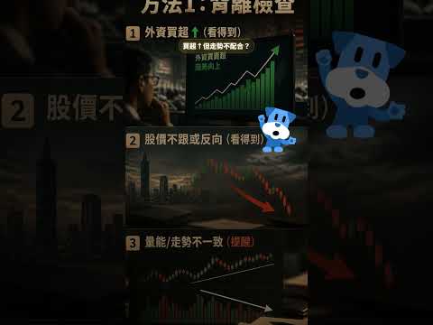 假外資是什麼？我翻了金管會公開名單——你看到的『外資買超』可能有一半是本土資金在演戲，3 個方法教你辨別真假