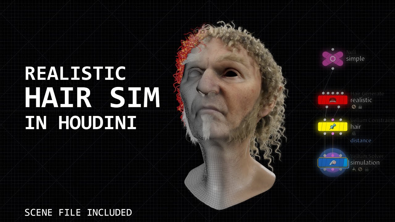 Easy & Realistic Hair Sim in Houdini