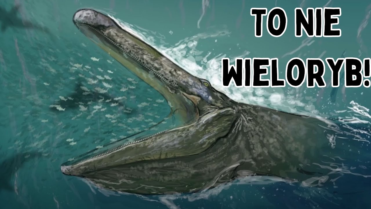 Gdy Natura Tworzy Dwa Razy To Samo Zwierzę...