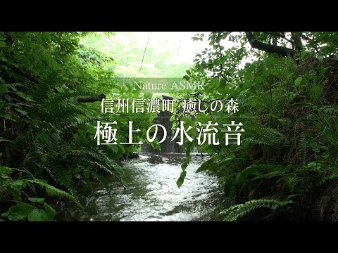 【ASMR自然音で脳が静かになる】極上ネイチャーマインドフルネス ～信州信濃町癒しの森 御鹿池前～ (ループ無し)