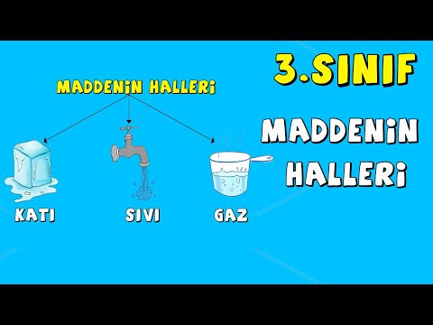 3.Sınıf Fen Bilgisi Maddenin Halleri (Katı, Sıvı, Gaz)