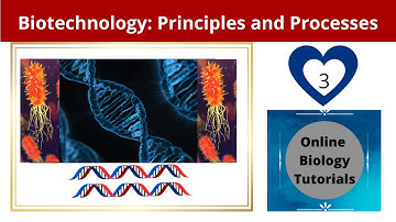 Biotechnology principles and processes class 12 (Video 3)