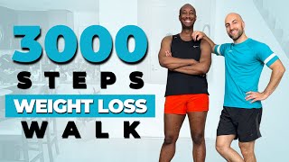 3000 Steps Weight Loss Walking Workout at Home for Beginners