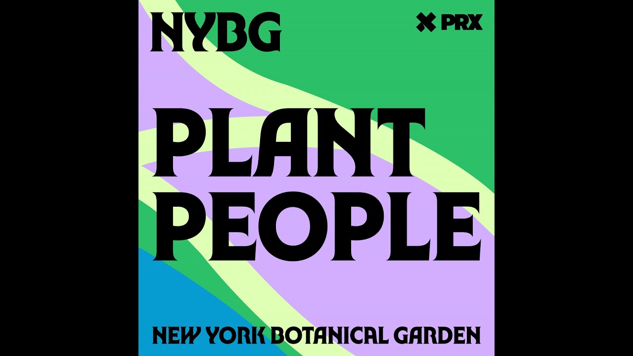 The African American Garden