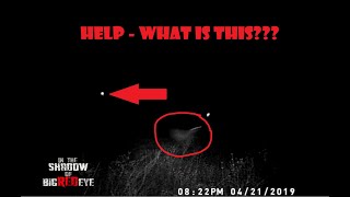 HELP!!! UNKNOWN GHOST, UFO OR BIGFOOT ON TRAIL CAMERA