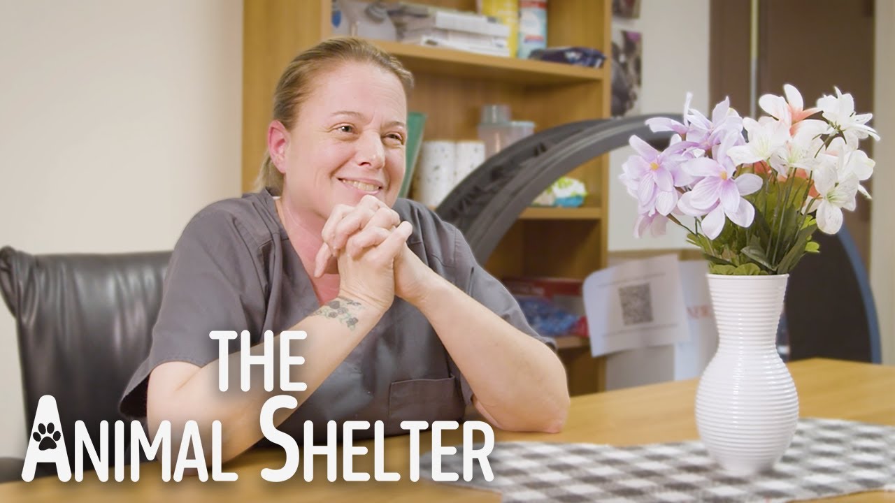 The Animal Shelter - Student Documentary Film