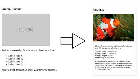 Udacity: Animal Trading Card Project