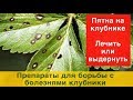 Пятна на клубнике:лечить или выдернуть?