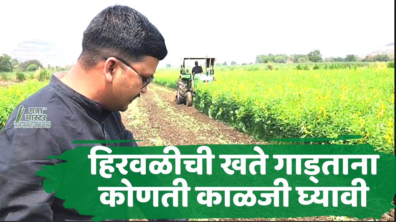 हिरवळीची खते गाड्ताना कोणती काळजी घ्यावी | गन्ना मास्टर |