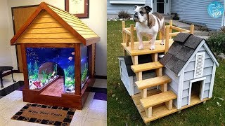 Most Creative Dog Houses Ever