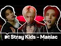 Stray Kids - 