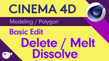 복쌤의 시포디 스터디 ( Modeling / Polygon edit/ Delete )