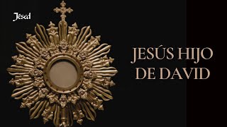 Video thumbnail of "Jesús Hijo de David - Jésed"