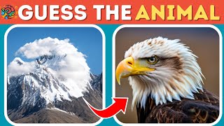 Guess the Hidden Animals by illusion 🙈😺🦌 Hardest optical illusion