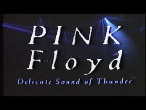 видео: Delicate Sound Of Thunder