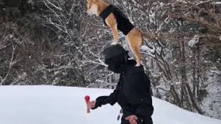 Military training with his dog in the snow
