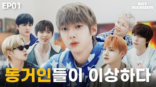 [EP.01] 한 지붕 일곱 남자 (Seven boys under the same roof) | BOY MANSION (뽀이맨숀) | 앰퍼샌드원 (AMPERS&ONE)