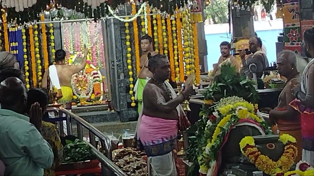 15.2.2026 malasiya sentul பிரதோஷம் & மகாசிவராத்திரி sorts##