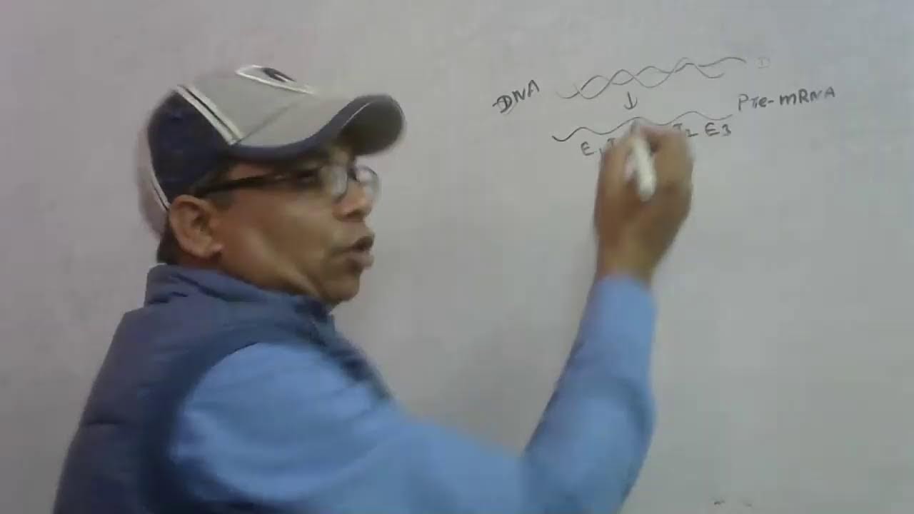 RNA splicing : Trans & Alternative