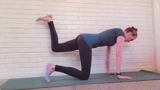 Quadruped Hip Extension aka Donkey Kicks