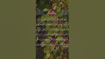 "سورة المؤمنون بصوت عذب ياسر الدوسري | تلاوة خاشعة تريح القلب"#قرآن كريم