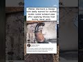 Welder discovers a mouse with badly burned fur stuffed inside rusted exhaust pipe #shorts