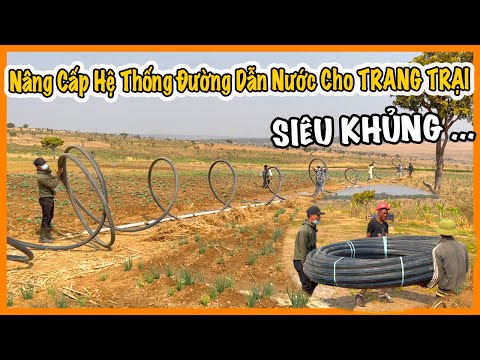Video Nâng Cấp Hệ Thống Đường Ống Dẫn Nước Cho Trang Trại -... - youtube