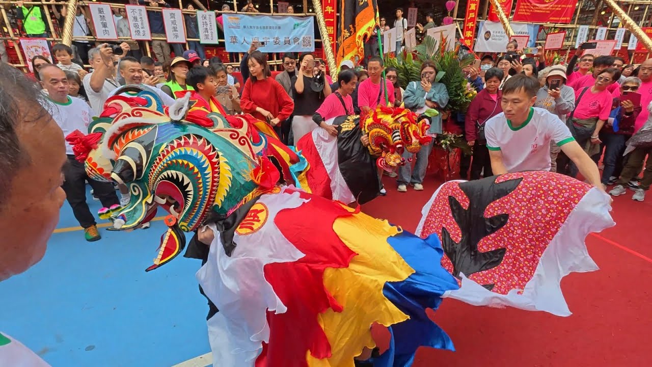 2025 沙田九約太平清醮 守望青年會麒麟 (送伯公)