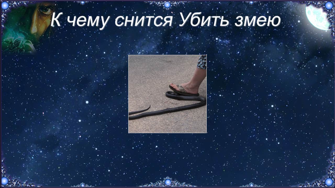 К чему снится Убить змею (Сонник)