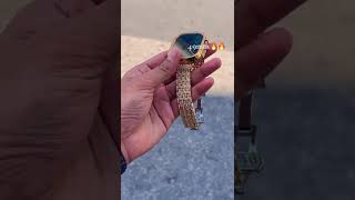 VID 20230320 WA0005