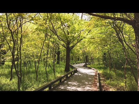 걷기 좋은 숲속 길 - 고창 <strong>선운사</strong> 계곡 산책로, 주말 데이트코스