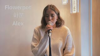 Video thumbnail of "Flowerpot (화분) - Alex Chu cover"