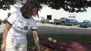 How to Harvest and Store Apples in Maine