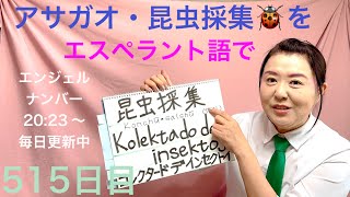 【515日目】#8月 #夏 ◼️ アサガオ◼️ 昆虫採集🐞をエスペラント語で‼️  #語学 #暗記 #朝顔 #昆虫採集 #昆虫 #自由研究 #エンジェルナンバー #japanese #宿題