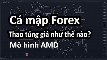 Cá mập Forex thao túng giá, dẫn dụ và lấy thanh khoản. Mô hình AMD