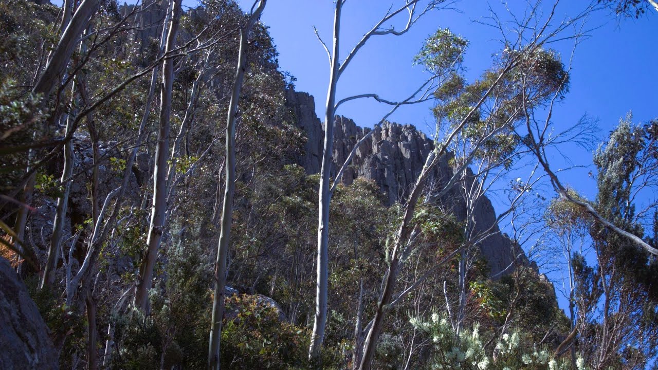 Exploring Australia | Day 37 | Tasmania | Bonorong wildlife Sanctuary | Richmond | Mount Wellington