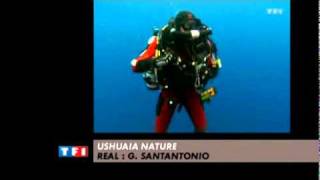 DES QUE LE VENT SOUFFLERA USHUAIA NATURE LAURENT BALLESTA PLONGEE RECYCLEUR DIVING REBREATHER