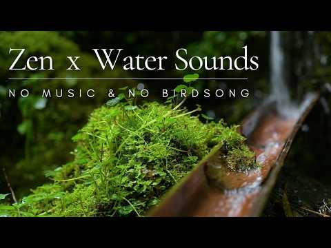 Gentle Sounds of Water Trickling Down a Bamboo Channel -  Sleep ASMR ❘ 10 HRS
