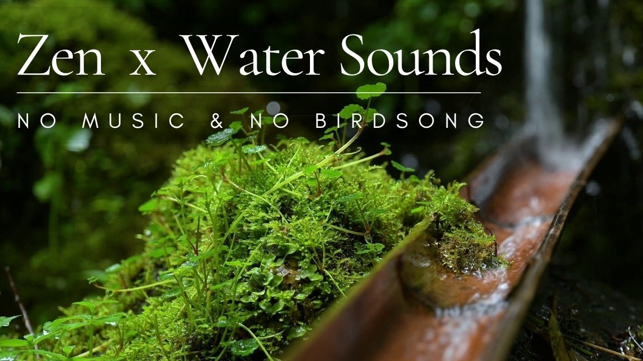 Gentle Sounds of Water Trickling Down a Bamboo Channel -  Sleep ASMR ❘ 10 HRS