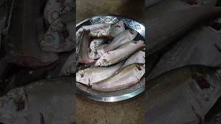 আজকের স্পেশালল: কালনা মাছের গ্রেভি | ঝাল-মশলাদার বাঙালি রেসিপি #shorts #villagefood #youtube #viral