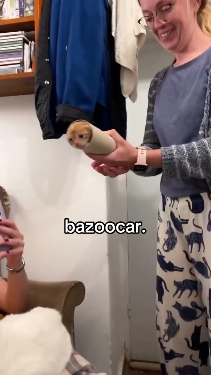 Live footage of bazooka Kittyo