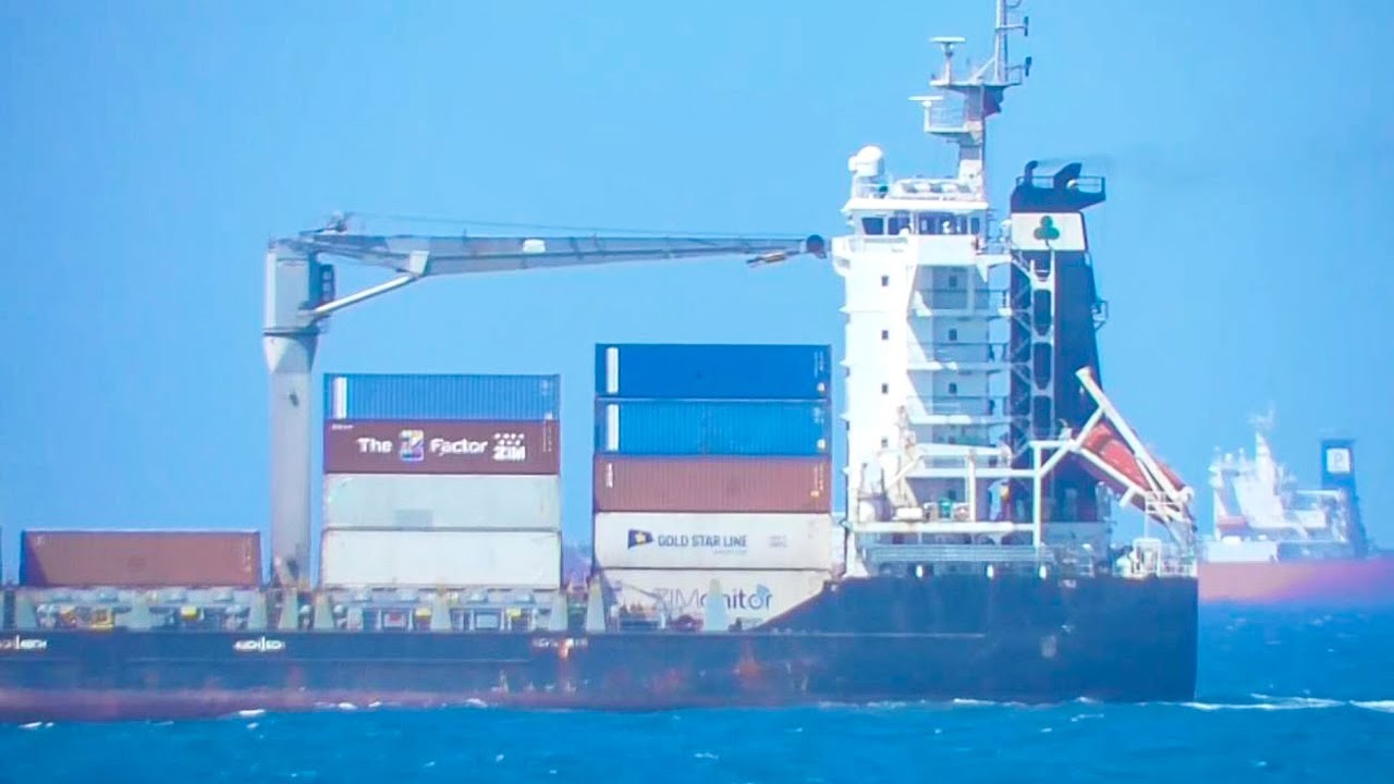 Sunny Phoenix | Contship Art | LM Ares | Shipspotting Kingston Jamaica | May 2025