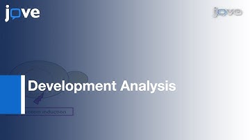 Morphological Phenotype As Function Of Protein Concentration In Budding Yeast l Protocol Preview