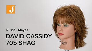 David Cassidy 70s Shag Haircut Men Tutorial - YouTube