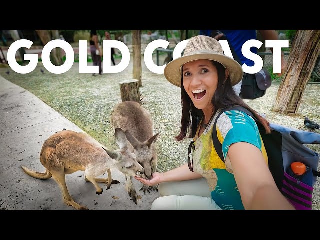 Travel vlog - Exploring Gold Coast and Meeting Kangaroos for the First Time (vlog 2)